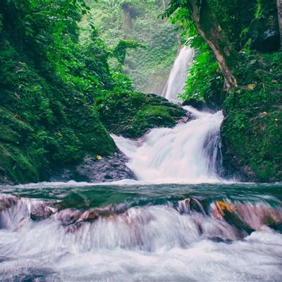 飞翔吧悟空破解版下载